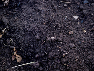 Fertile soil with stones and debris close up and space for text