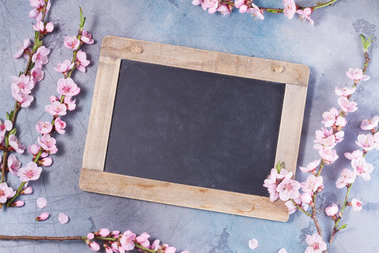 Fototapeta pink cherry blossom