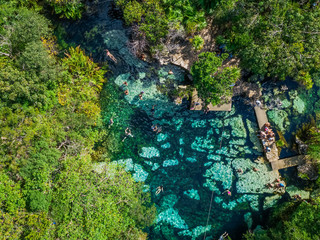 Cenote Azul in the jungle aerial view. People swim in clear water in a cenote that is in the jungle. Top View