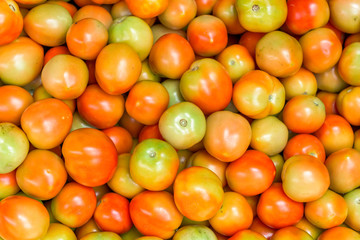 Close-up of fresh ripe tomatoes