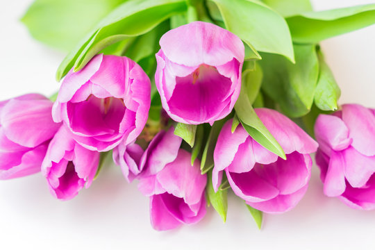 bouquet of violet blooming flovers on white background