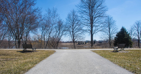 Path to the Pond