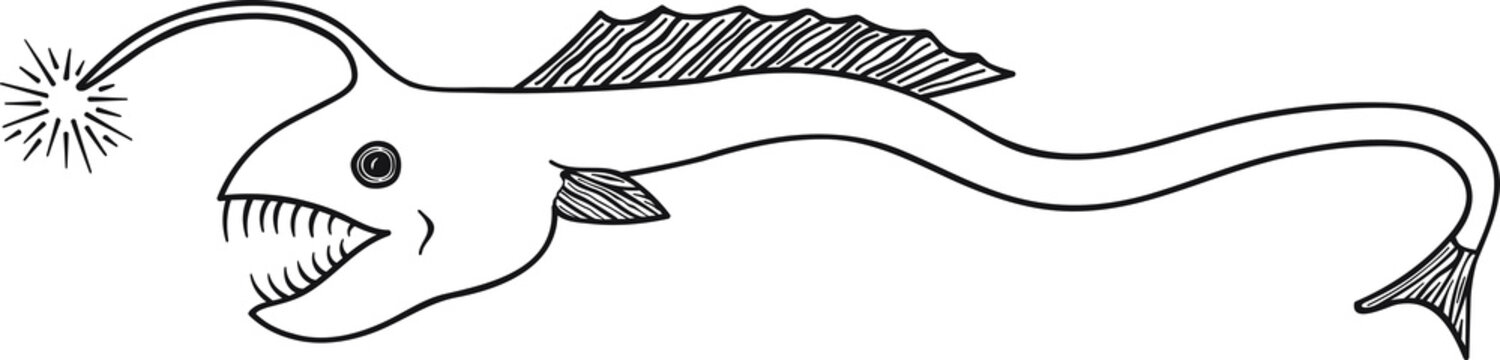 Hand Drawn Doodle Sketch Line Art Vector Illustration of Predaceous Abyssal Angler Fish. Emblem Poster Banner Black Outline Design Element Template
