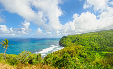 Tropical Hawaii Scenic. Coconut Palm tree, surf, beach. Sunny Blue Sky day.  Big Island, Hawaii