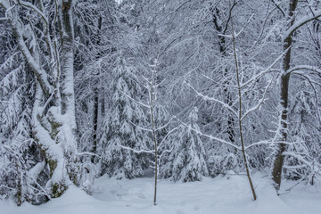 Nordhelle im Winter