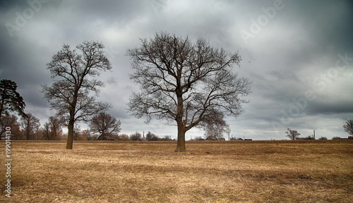 Landscape Of Early Spring In April Field With Dry Grass