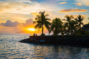 Silhouette of palm trees and sunset in Tahiti.  - obrazy, fototapety, plakaty
