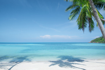 Obraz na płótnie Canvas View of nice tropical beach with some palms