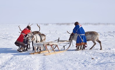 reindeer herder © Сергей Нестеров