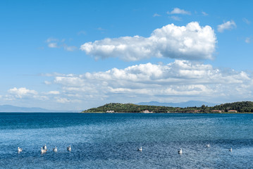 Beautiful view from Cesmealti, Urla coastline with a flock of seagulls..