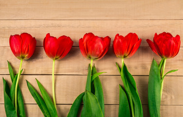 Flowers of red tulips lie on a wooden table