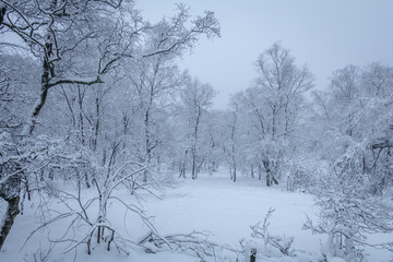 Fototapeta na wymiar Nordhelle im Winter