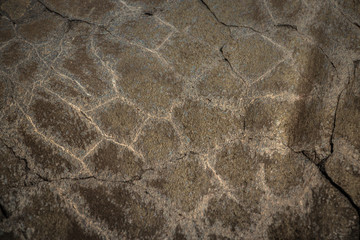 La Réunion, son  volcan, le Sud Sauvage et sa mer méchante. Ses falaises de laves, sa végétation luxuriante et variée.... Quelques photos pour vous faire aimer le Sud Sauvage