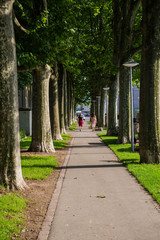 Plane alley and asphalt walkway for pedestrians in the city of Basel.