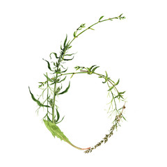 floral watercolor number 6