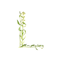 Naklejka premium floral watercolor letter L