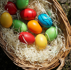 homemade colored easter eggs in easter basket outdoor at grass