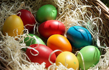 homemade colored easter eggs in easter basket outdoor at grass