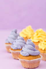 Cupcakes decorated with yellow cream on violet pastel background for greeting card with copyscape.