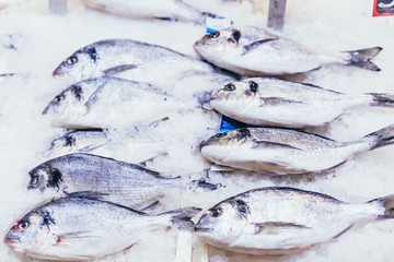 fresh sea food. grocery shopping. dorado in ice