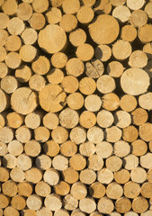 Texture of wooden logs for designs, pattern for backgrounds