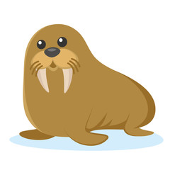 Wild animals. Walrus Wildlife Vector