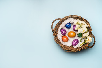 multi-colored easter eggs in a decorative nest with narcissus flowers, on a blue background, space for text