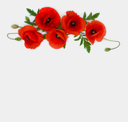 Flowers red poppies (Papaver rhoeas, common names: corn poppy, corn rose, field poppy, red weed) on a light background. Top view, flat lay.