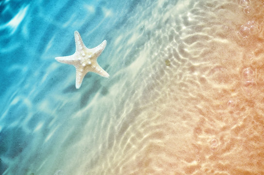 Fototapeta starfish on the summer beach in sea water.