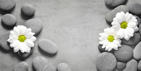 Fototapeta na wymiar Set of white flowers on pebble