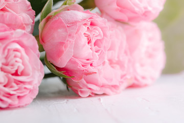 Pink roses over white background. Copy space. The concept of wedding and Valentines day.