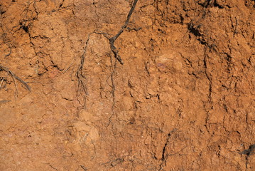 sandy red-brown mountain background