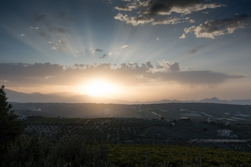 Agricultural field