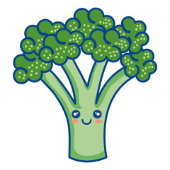 broccoli vegetable healthy food vector illustration design