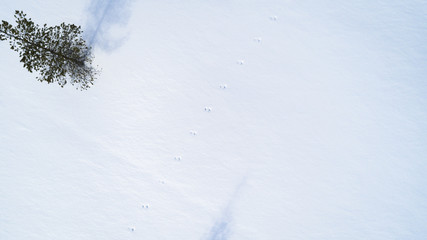 Aerial view of rabbit footprints, animals trails tracks on snow