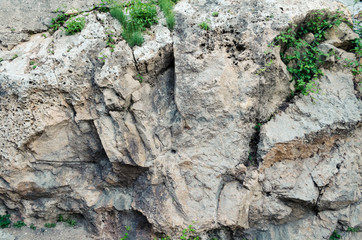 Old stone wall with ivy