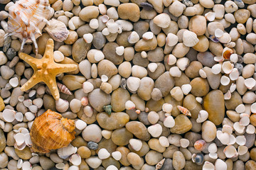 Seashells and pebbles background, natural seashore stones