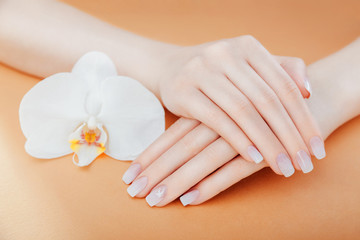 Ombre french manicure with white orchid on orange background. Female hands with white ombre french manicure. © maryviolet