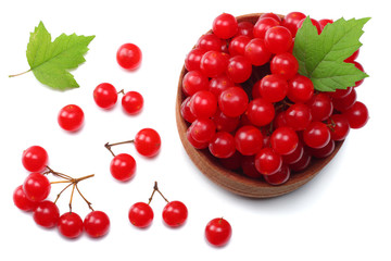 Red berries of Viburnum (arrow wood) in wooden bowl with green leaf isolated on white background top view