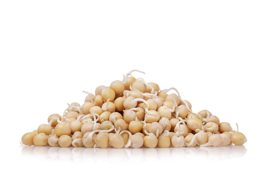 Heap of sprouted peas isolated on white background