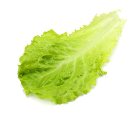 one salad leaf isolated on a white background