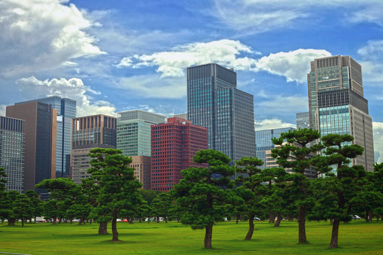 tokyo city view