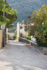 Street and agricultural field