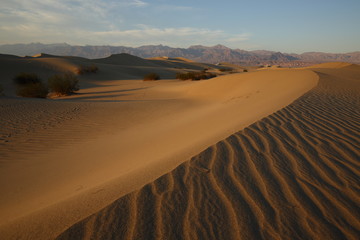 Death Valley Mesquite Flat Sand Dunes