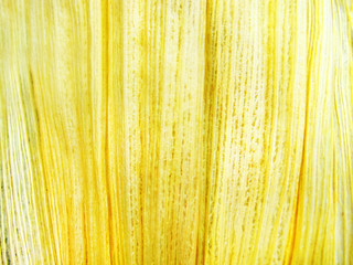 Texture of corn skin peel