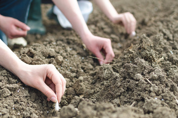 people working together on field