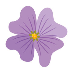 cute flower decorative icon vector illustration design