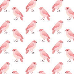 cute birds with beautiful plumage pattern vector illustration design