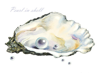 several of the pearls in the pearl shell © Виктория Коновалова