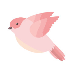 cute bird flying with beautiful plumage vector illustration design